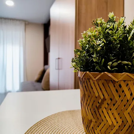 Loft Urdaibai Bermeo