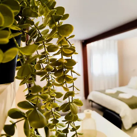 Apartment Loft Urdaibai *